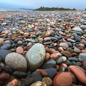 Meet your Posher, Cheyenne